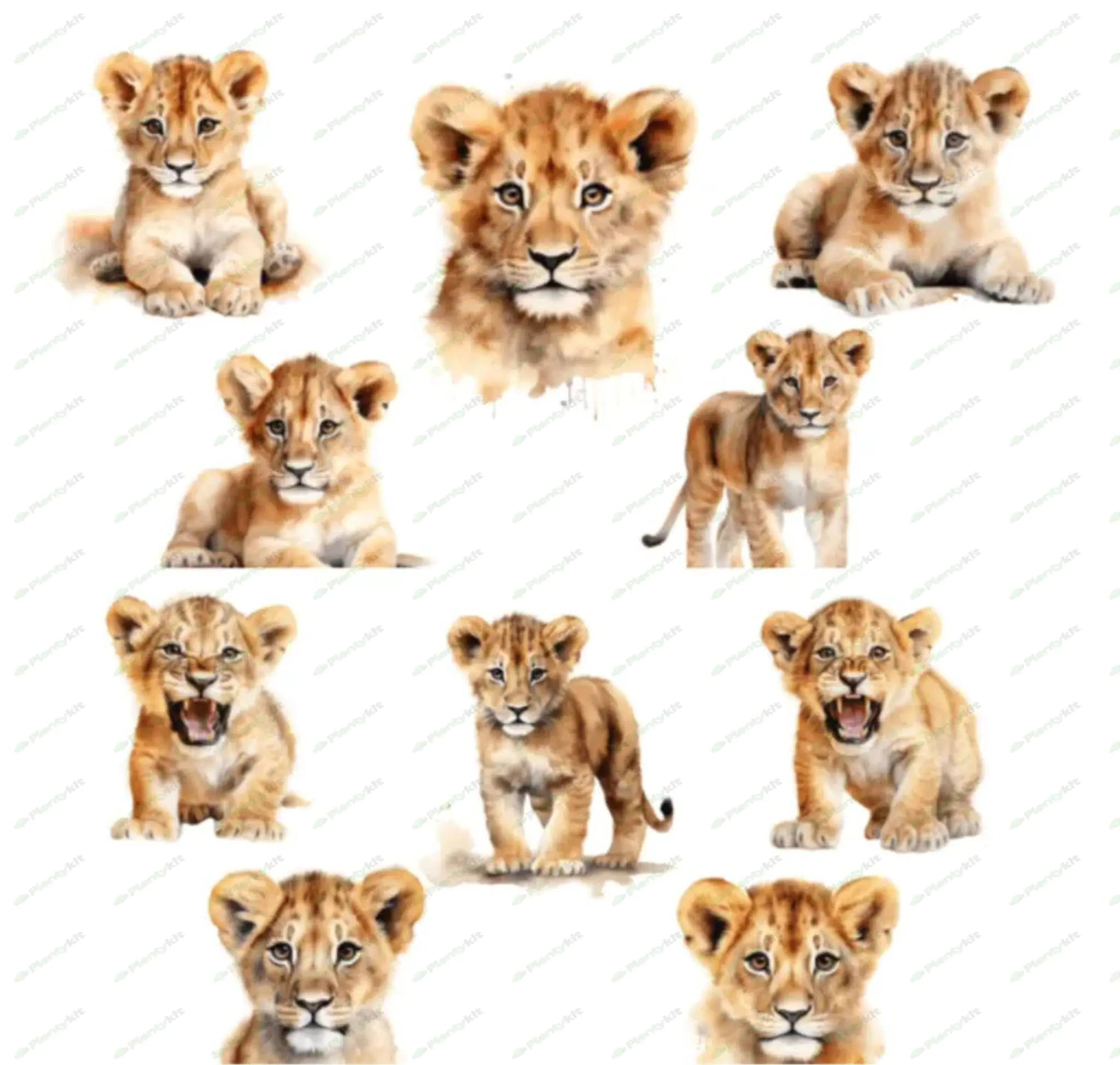 Cute Jungle Animals Clipart, Safari Baby Animal PNG, Watercolor Animal Clipart, Baby