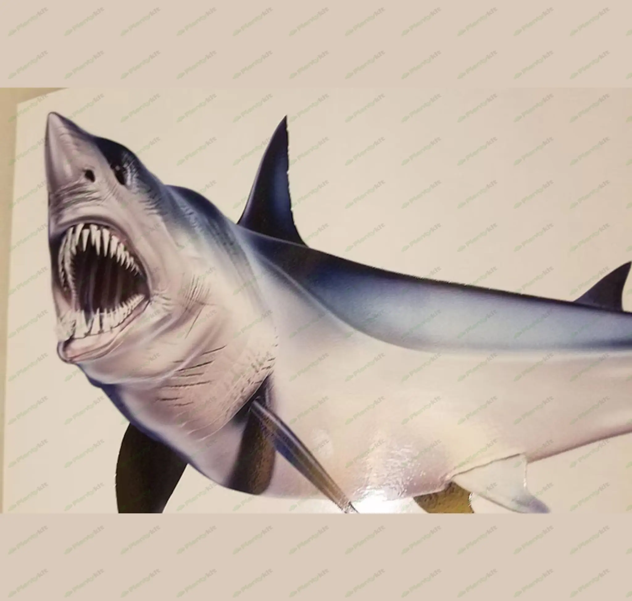 High resolution Mako Shark decal, Mako Shark, Boat Graphics, Mako