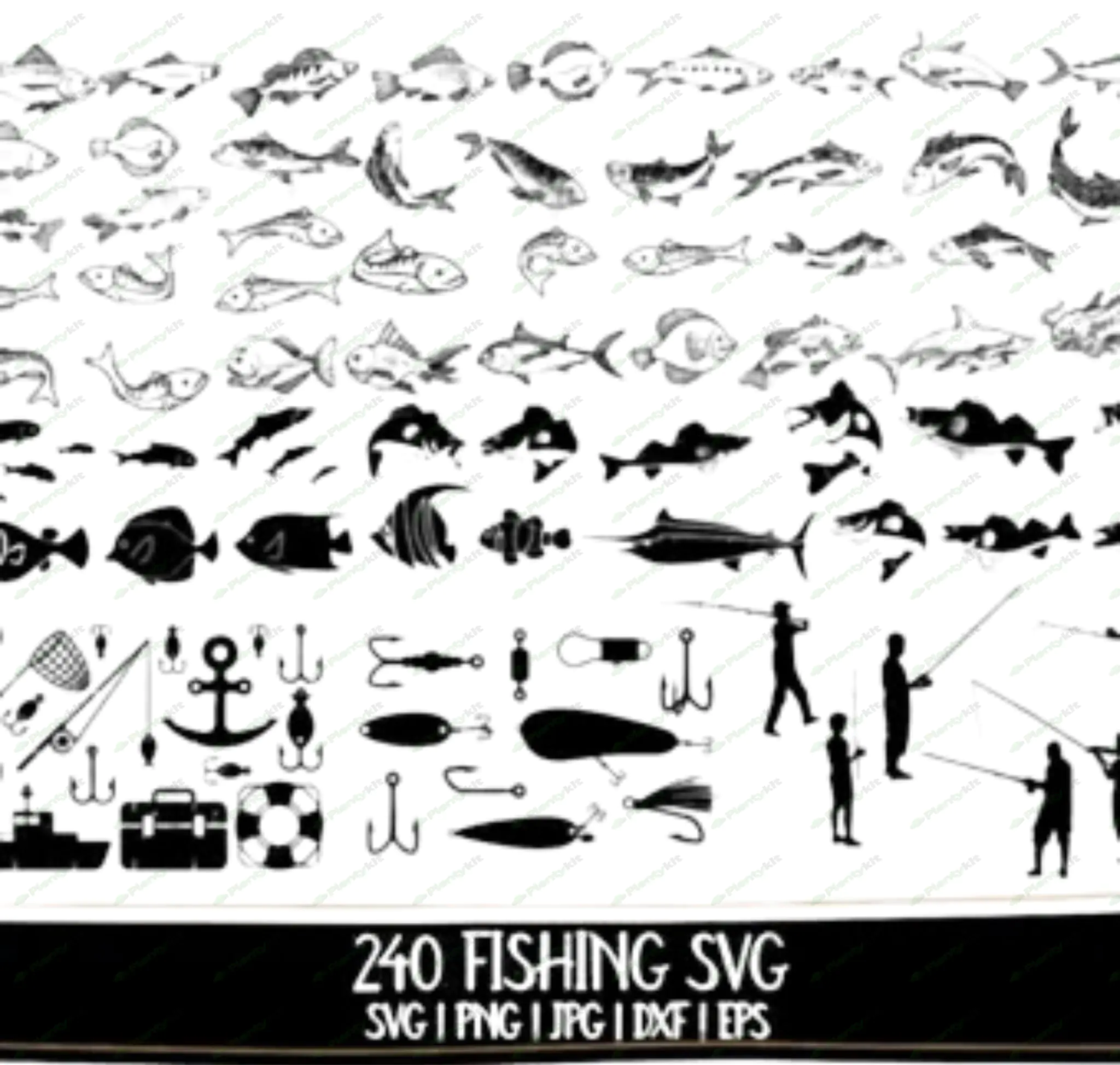 Popular Freshwater Game Fish Clip Art Collection | 20 High-Quality Fishing Illustrations | Bass