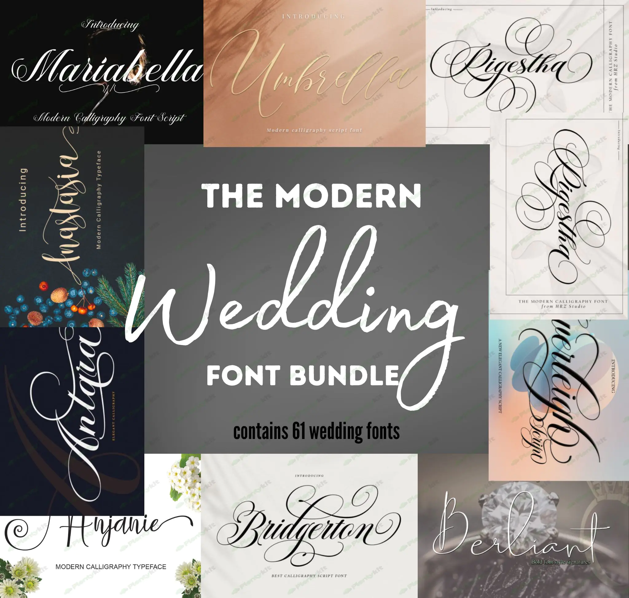 Wedding Font - Font Bundle, Calligraphy Fonts, Cricut Fonts, Invitations, Procreate Fonts, Crafting